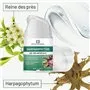 Roll-On de Massage Muscles et Articulations Harpagophytum Institut Claude Bell - 2