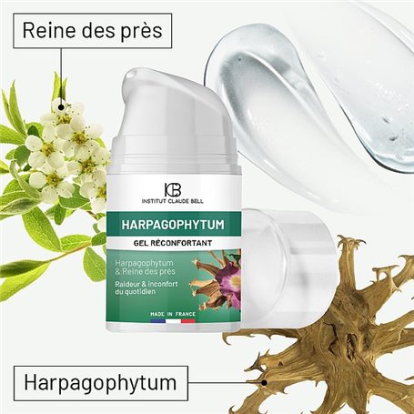 Roll-On de Massage Muscles et Articulations Harpagophytum Institut Claude Bell - 2