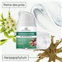 Roll-On de Massage Muscles et Articulations Harpagophytum