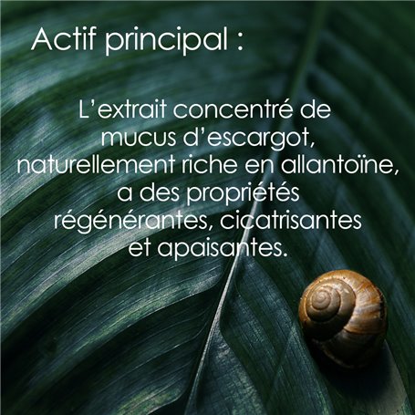 Bave d'Escargot - Crème Anti-Age Institut Claude Bell - 3