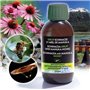 Sirop Echinacée et Miel de Manuka Ineldea - 2