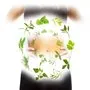 Phytox Régulateur et Stimulant Naturel Hépatique et Digestif Ineldea - 2