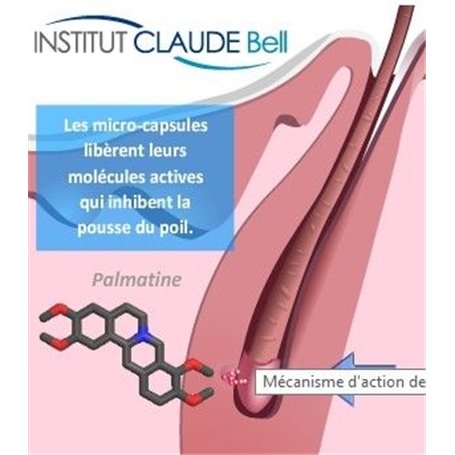 Epil Xpress Lotion Réducteur de Pilosité pour le Visage Institut Claude Bell - 3