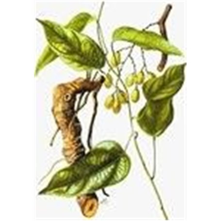 Epil Xpress Lotion Réducteur de Pilosité pour le Visage Institut Claude Bell - 4