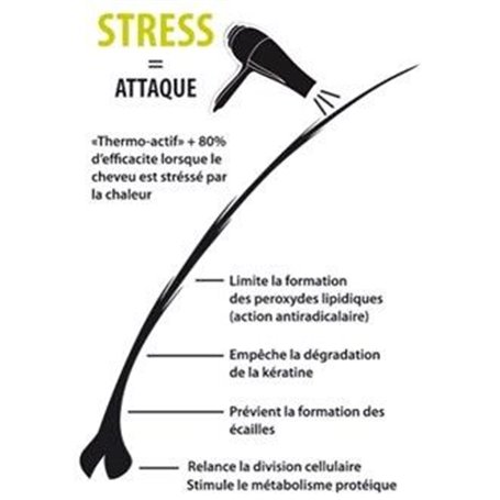 Hairliss Kératine Spray Protecteur de Chaleur à la Kératine Institut Claude Bell - 2