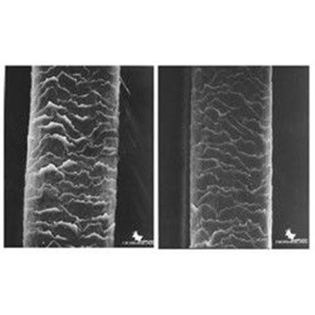 Hairliss Kératine Spray Protecteur de Chaleur à la Kératine Institut Claude Bell - 3