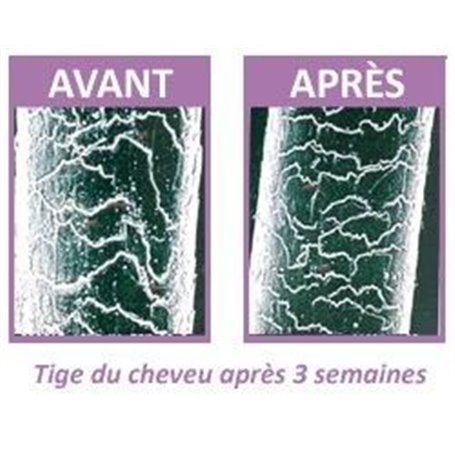 Tonus Anti-Age Shampooing Institut Claude Bell - 3