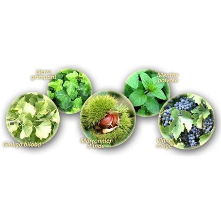 Veinessence Baume Veinotonique Institut Claude Bell - 2