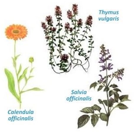 Soin Beauté des Pieds Institut Claude Bell - 2