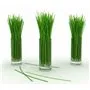 Huile de Massage aux Huiles Essentielles - Lemongras Institut Claude Bell - 2
