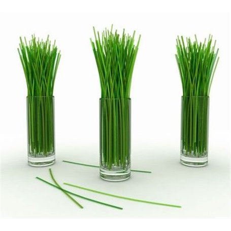 Huile de Massage aux Huiles Essentielles - Lemongras Institut Claude Bell - 2