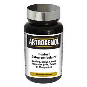 Artrogenol Gelules Artrogenol Gélules Complexe Végétal Muscles et A...