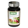 Nopal Capteur Naturel de Sucres et de Graisses Nutriexpert - 1