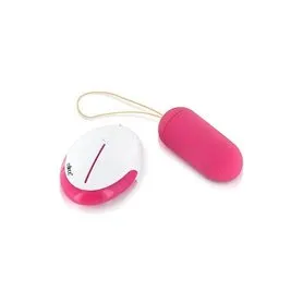 Egg Vibrator with Remote Control Concorde - 1