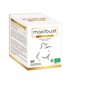 Maxibust Beauty Maxibust Beauty & Push-Up Organic Capsules Volym oc...