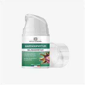 Roll-On de Massage Muscles et Articulations Harpagophytum Institut Claude Bell - 1