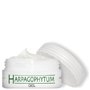 Massage Gel Harpagophytum Muskeln und Gelenke Institut Claude Bell - 1