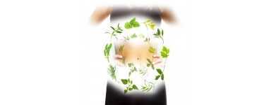 Equilibre Digestif - Compléments alimentaires